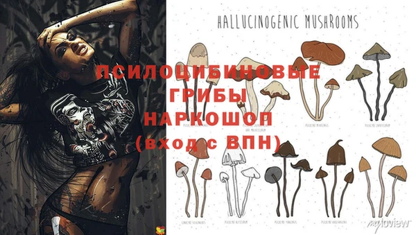 крисы Медвежьегорск