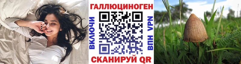 Псилоцибиновые грибы мицелий  Барнаул 