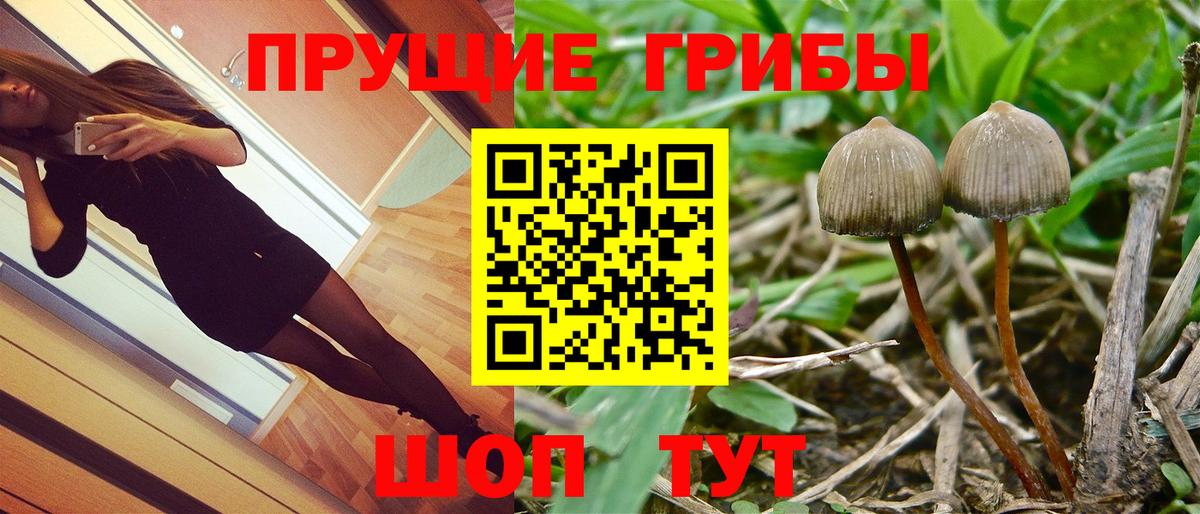 Барнаул  где купить наркоту  Вход с VPN  Псилоцибиновые грибы мухоморы  Галлюциногенные грибы мухоморы 