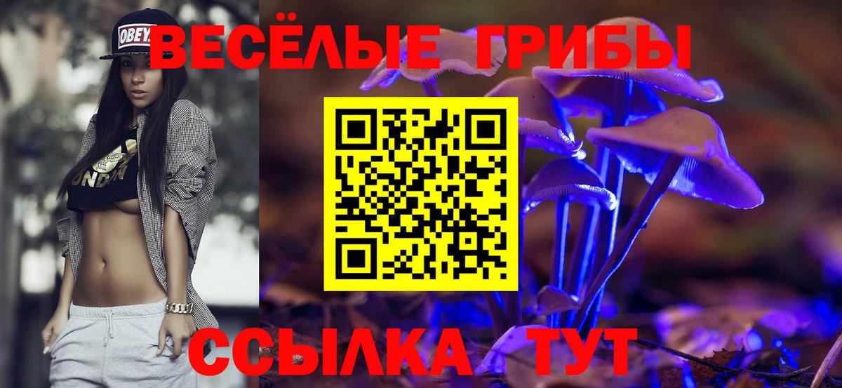 Галлюциногенные грибы Magic Shrooms Барнаул